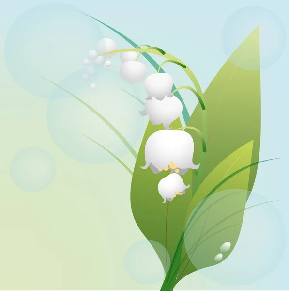 Spring flower lily of the valley — Stock Vector