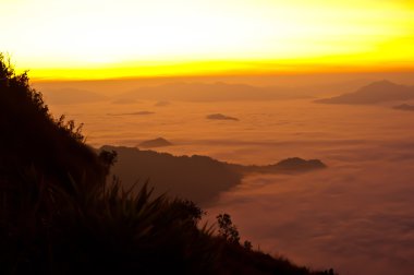 gün batımında phu chi fa forest park