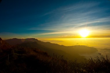gün batımında phu chi fa forest park