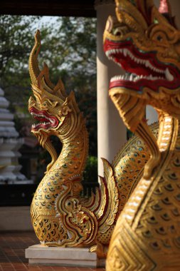 Kral nagas chiang Mai, Tayland 2