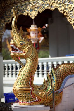 Kral nagas chiang Mai, Tayland 4