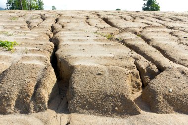 Soil erosion to overgrazing leading clipart