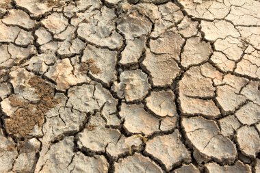 Drought land soil