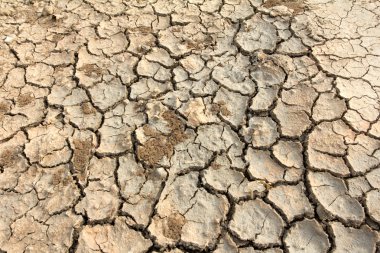 Drought land soil