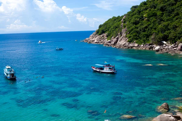 Deniz koh tao