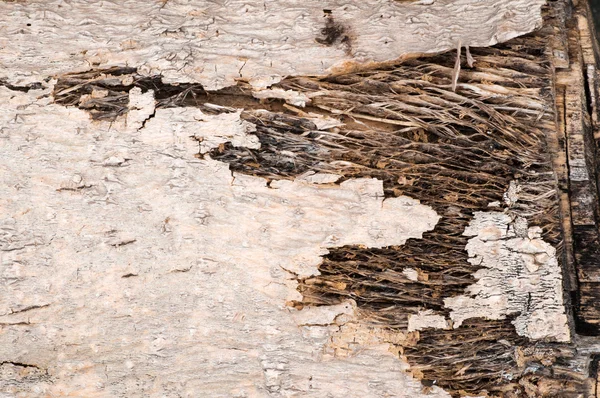 Textura de madera —  Fotos de Stock