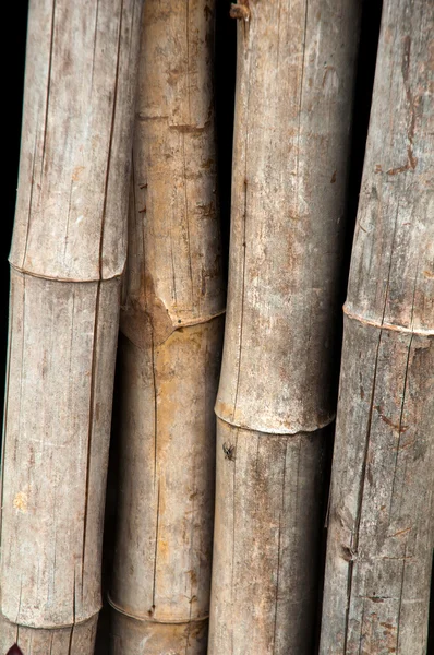 Bambu çit ahşap - doku — Stok fotoğraf