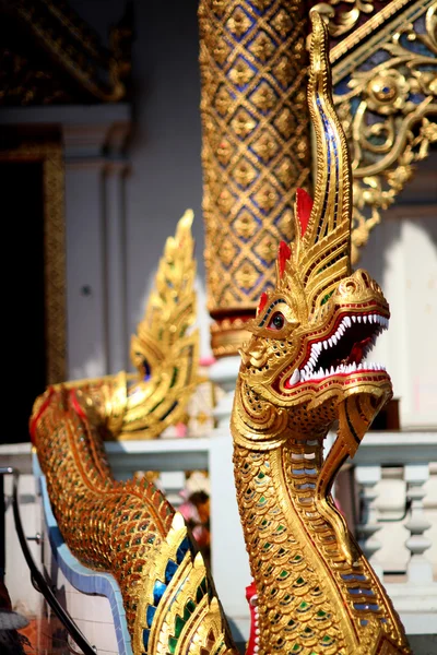 Roi de Nagas Chiang Mai, Thaïlande 3 — Photo