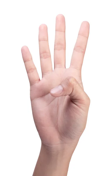 Image of Counting woman's right hands finger number (4 ) — Stock Photo, Image