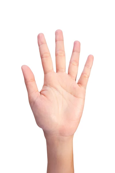 Kép, számlálási nő bal kéz ujjával száma (5 or10) — Stock Fotó