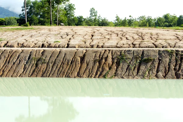 Eroded cut bank of small river — Stock Photo, Image