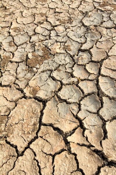 Drought land soil