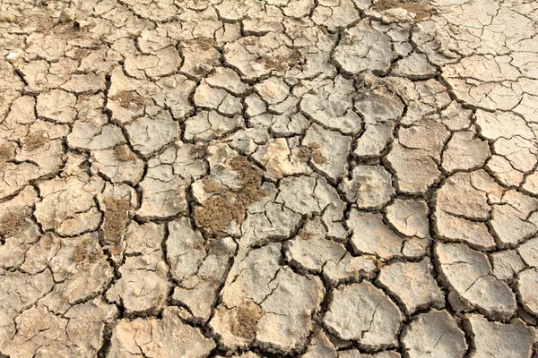 Засушливая почва — стоковое фото