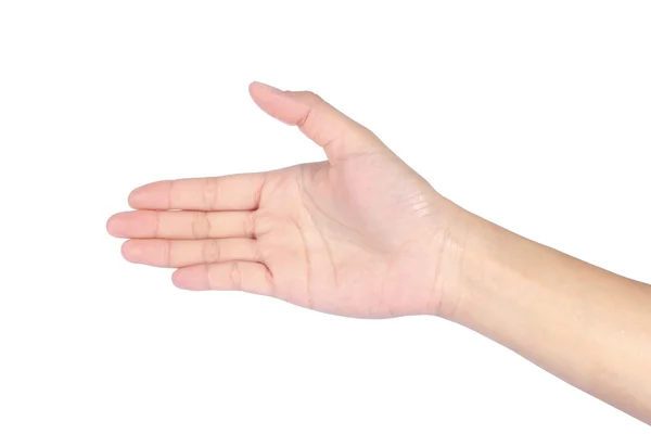 Beautiful woman hands gives a handshake — Stock Photo, Image