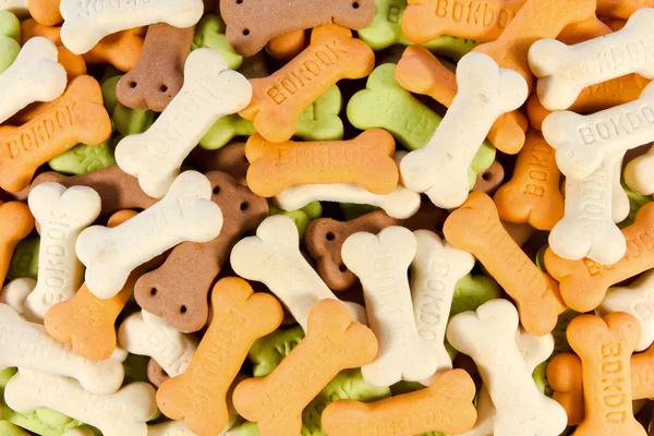 arka plan rengi tam kemik köpek muamele etmek şeklinde.