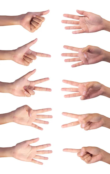 Set Image of Counting woman's right hands finger number (1 to 10 — Stock Photo, Image