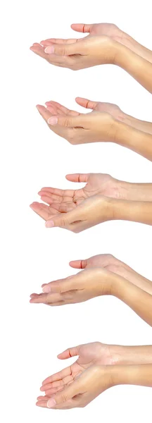 koleksiyon güzel kadın iki elle açın