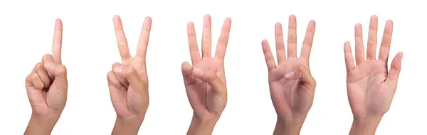 Set Image of Counting woman — Stock Photo, Image