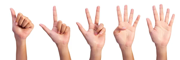 sayım kadın görüntüsünü ayarla