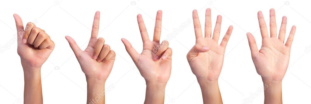 Set Image of Counting woman's left hands finger number (1 to5 )