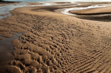 Sahil manzarasını kapat.