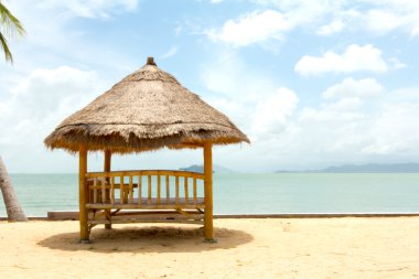 muhteşem plaj palmiye ağacı üzerinde sandalye ile tropikal çardak