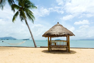 muhteşem plaj palmiye ağacı üzerinde sandalye ile tropikal çardak
