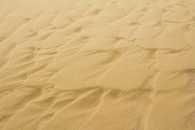 Sahil manzarasını kapat.