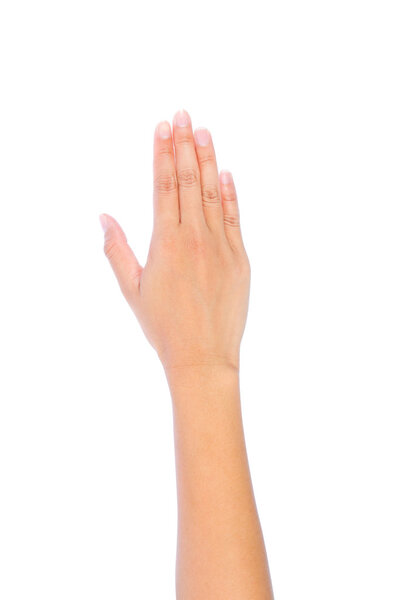 Woman hand raised up. making sign. Isolated on white background.