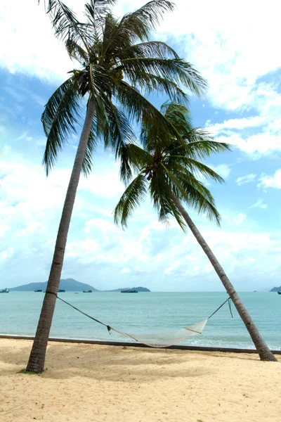 Moře a kokosových palem — Stock fotografie