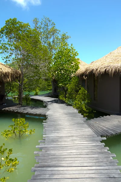 Sentier en bois sur la rivière et à travers la forêt tropicale — Photo