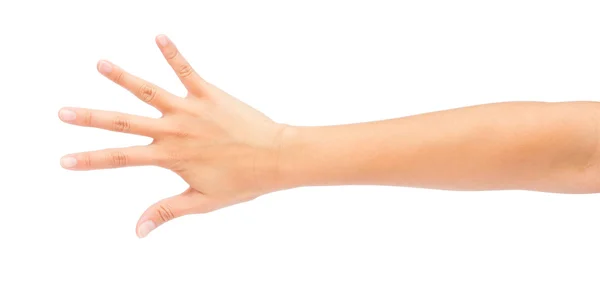 Imagem do número do dedo das mãos esquerdas da mulher contadora (5 ou 10 ) — Fotografia de Stock