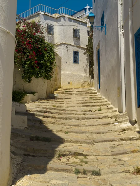 视图的 sidi bou 说市 — 图库照片