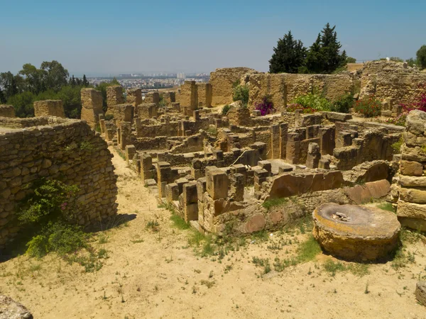 Ruinas de Cartago — Foto de Stock