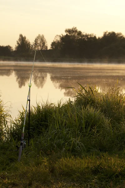 Morgenangeln — Stockfoto