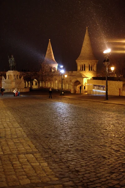 Vue nocturne de Budapest — Photo