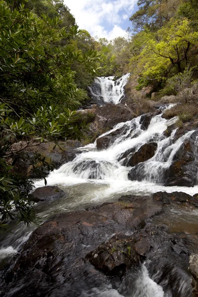 Wasserfall im Dschungel dalat vietnam — Stockfoto