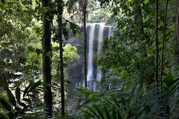 Wasserfall im Dschungel baolok vietnam — Stockfoto