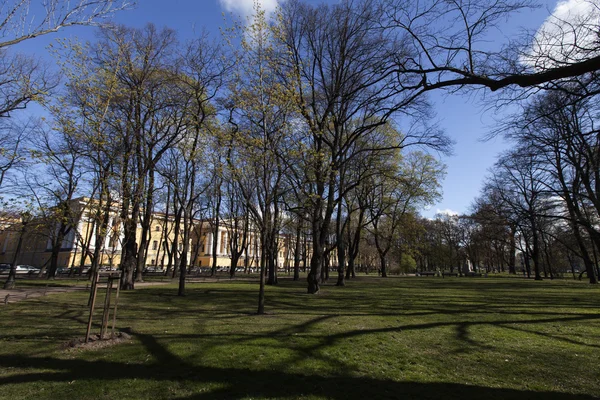 Saint petersburg view — Stockfoto