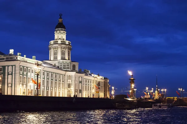 Saint petersburg gece görünümü