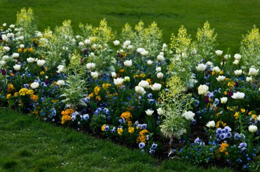 champs-elysee çiçekler