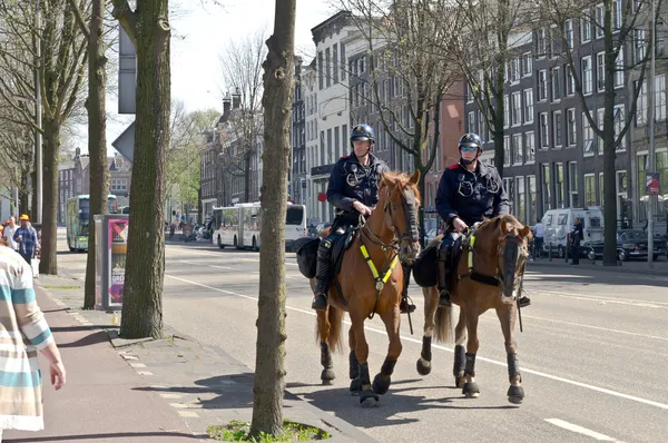 Cavalerie politie — Stockfoto