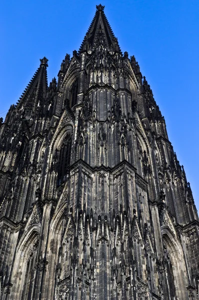 Kolner Dom — Stock Photo, Image