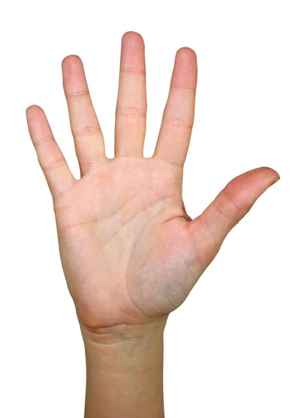 Χέρι Παλάμη Επάνω Απομονωμένη Λευκό Φόντο Βάλτε Θέμα — Φωτογραφία Αρχείου