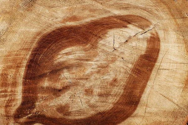 Tekstura Drewna Dużym Ciastem Wzór Włókien Drzewnych Tło — Zdjęcie stockowe