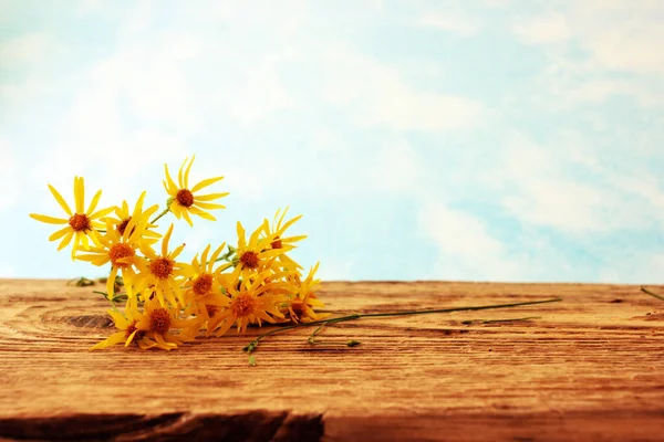 Geleneksel ilaç tarifleri, tahta kaplarda tarla bitkileri, doğal ilaç kavramı.