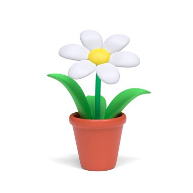 Beyaz arka planda bir tencerede beyaz papatya çizgi filmi. Kesme yolu. 3B resim