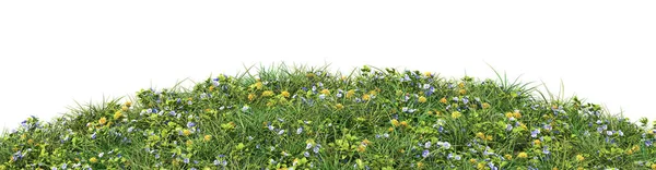 Trawiaste Wzgórze Szybkimi Kwiatami Dmuchawcami Odizolowane Białym Tle Obraz — Zdjęcie stockowe