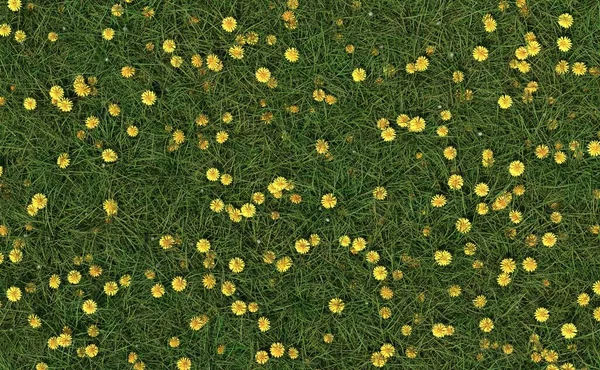 Top View Meadow Full Dandelions Illustration — Stock Photo, Image