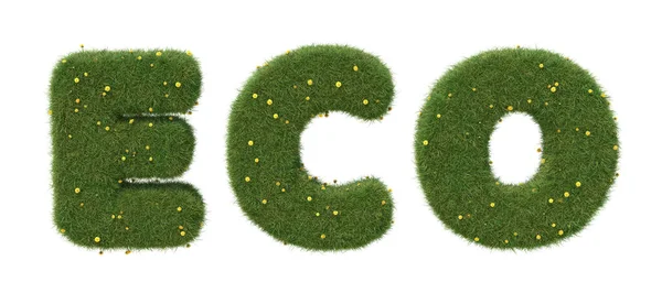 Ordet Eco Gjort Realistiskt Gräs Med Maskrosor Isolerad Vit Bakgrund — Stockfoto